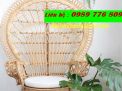 ghe-may-duoi-cong-5