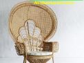ghế mây thư giãn con công