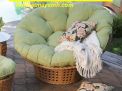 Ghế papasan