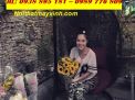 Xích đu hình trứng